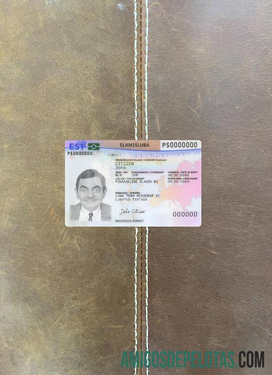 Cartão de autorização de residência na Estônia Photolook Front exemplo real